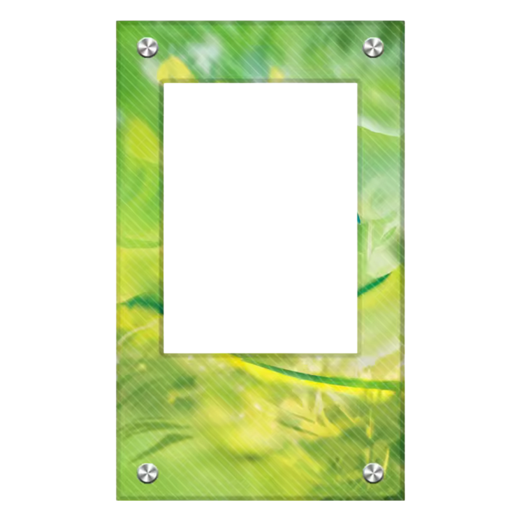 SCARLET & VIOLET 151 ACRYLIC CARD CASE DISPLAY - VENUSAUR EX